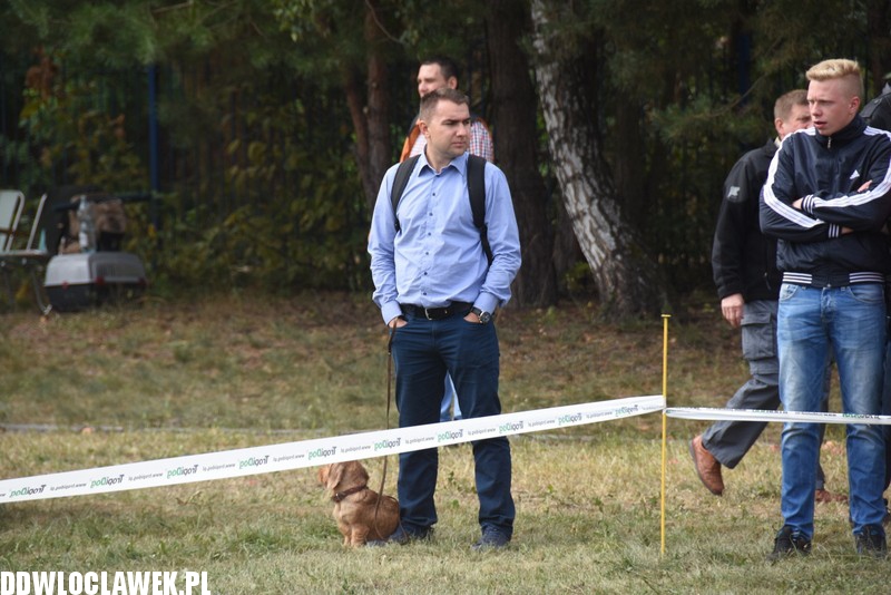 Kujawska wystawa psów rasowych