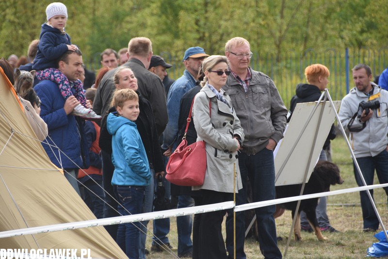 Kujawska wystawa psów rasowych