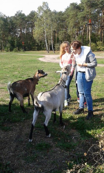Integracja w parku linowym