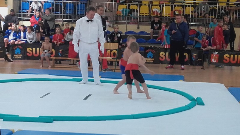 Zawody sumo w Warszawie