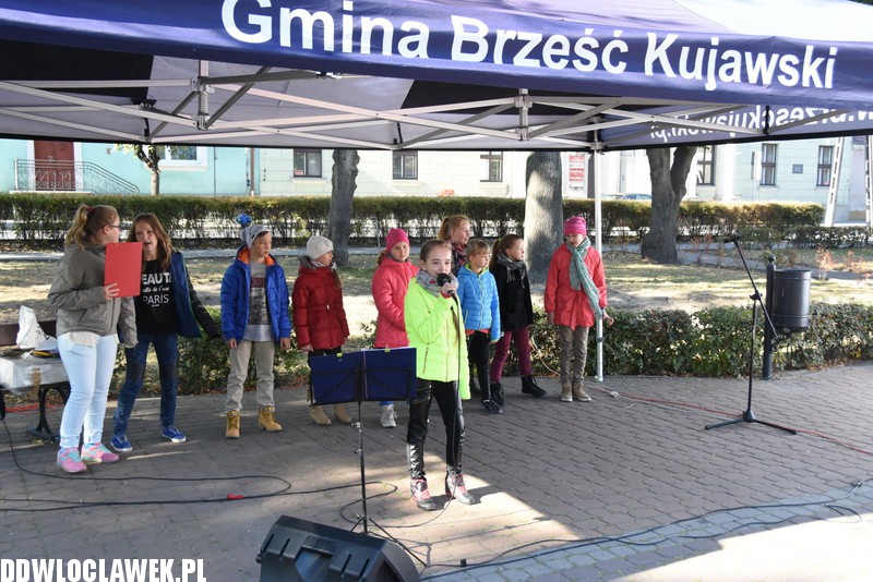 Cały Brześć Oddaje Krew