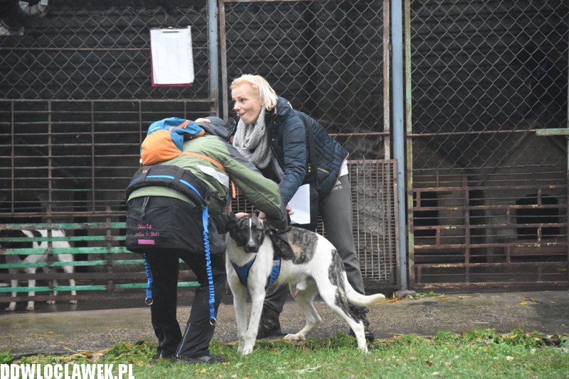 Bieg na sześć łap we Włocławku