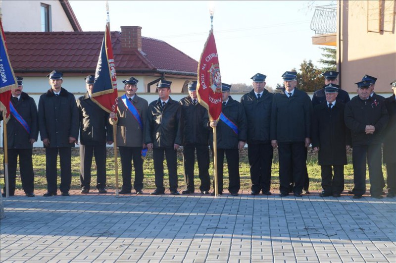 IV Powiatowe Obchody Narodowego...