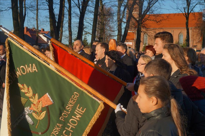 IV Powiatowe Obchody Narodowego...