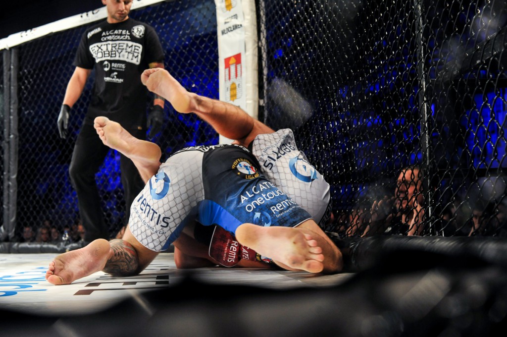 Gala Profesjonalnej Ligi MMA