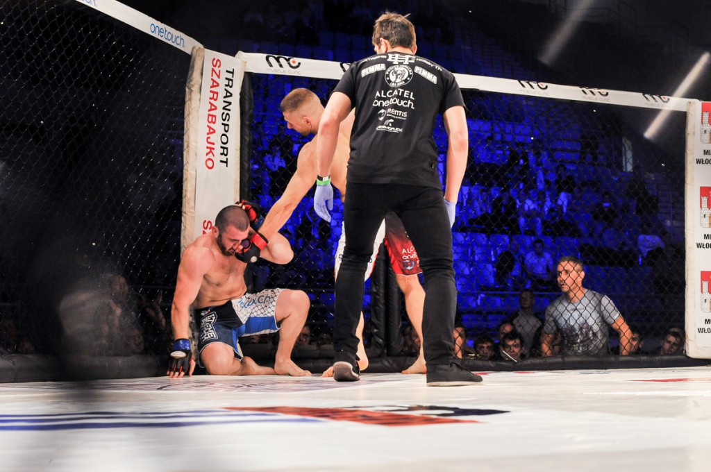 Gala Profesjonalnej Ligi MMA