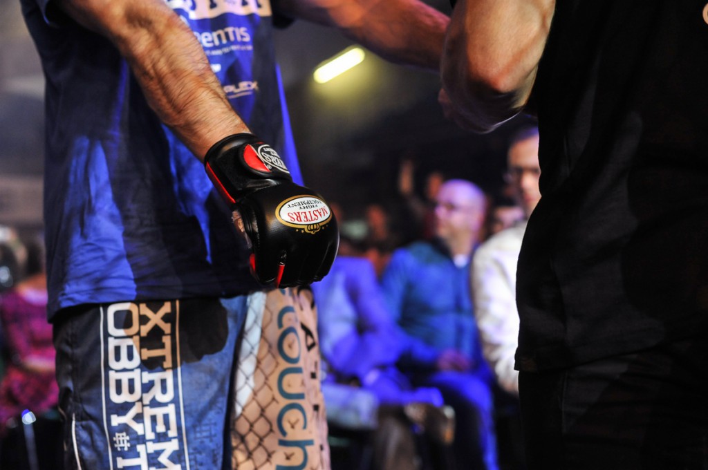 Gala Profesjonalnej Ligi MMA