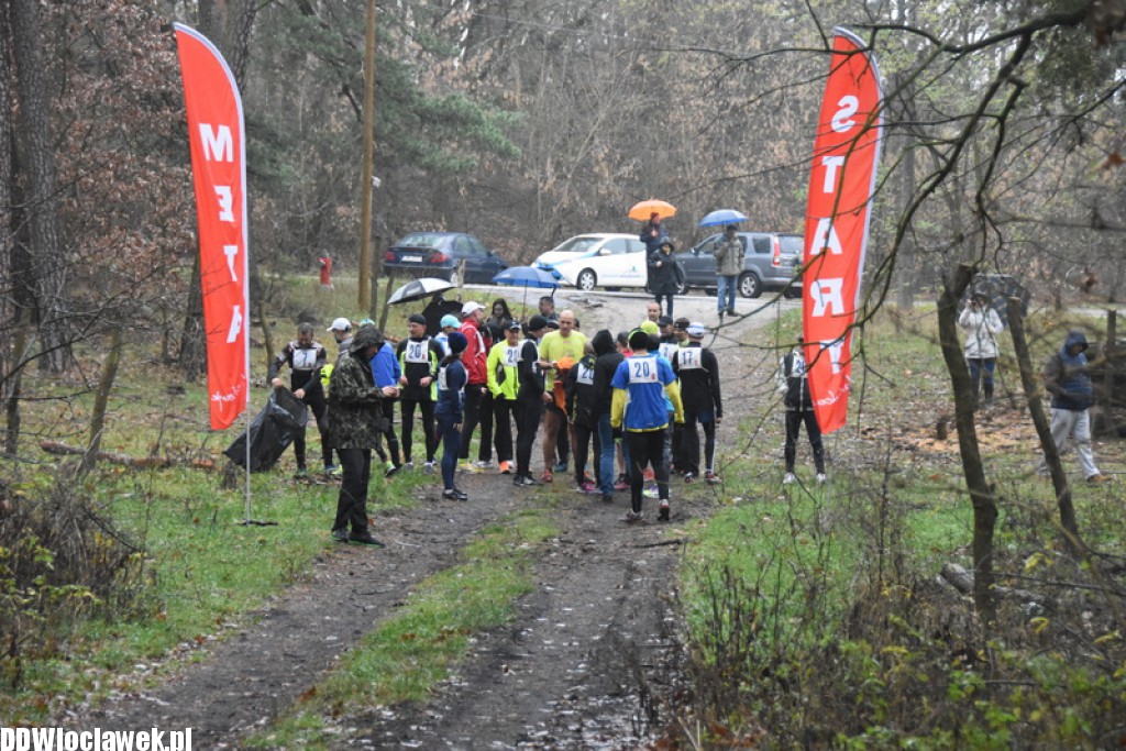 Vladislavia Cross na Zawiślu