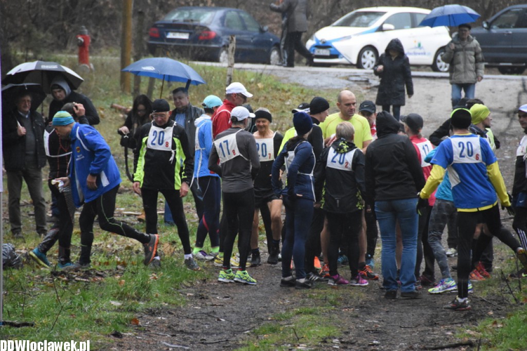 Vladislavia Cross na Zawiślu
