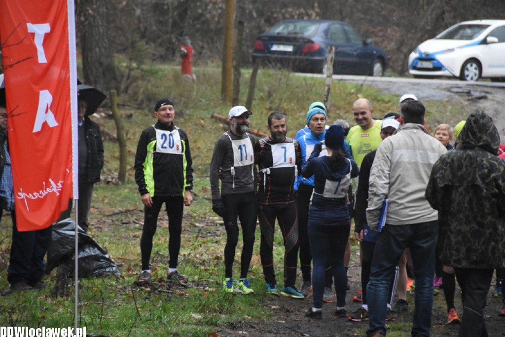 Vladislavia Cross na Zawiślu