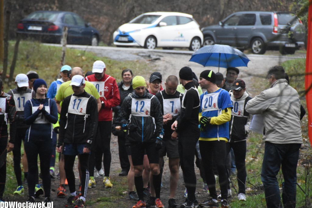 Vladislavia Cross na Zawiślu