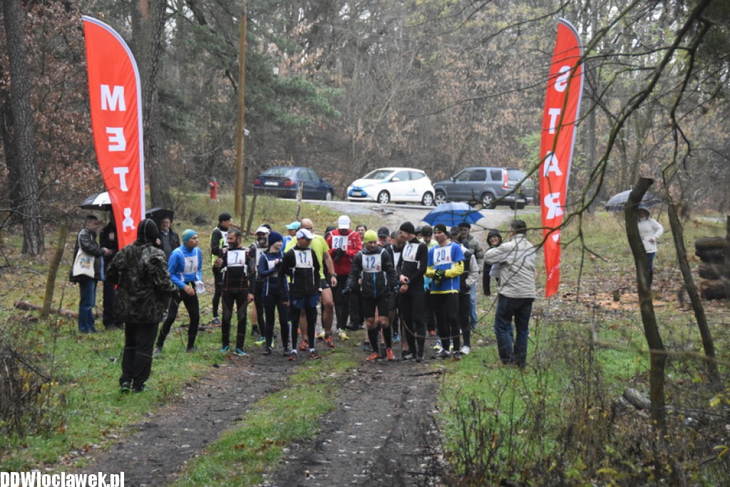 Vladislavia Cross na Zawiślu