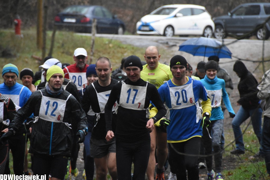 Vladislavia Cross na Zawiślu