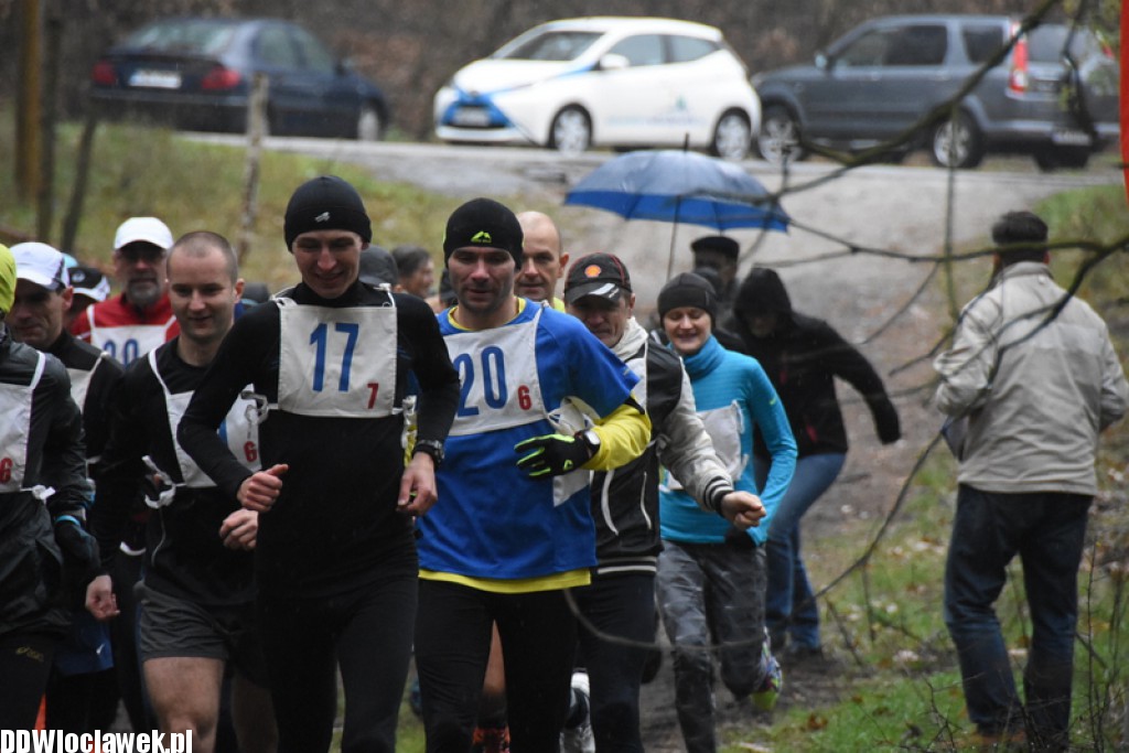Vladislavia Cross na Zawiślu