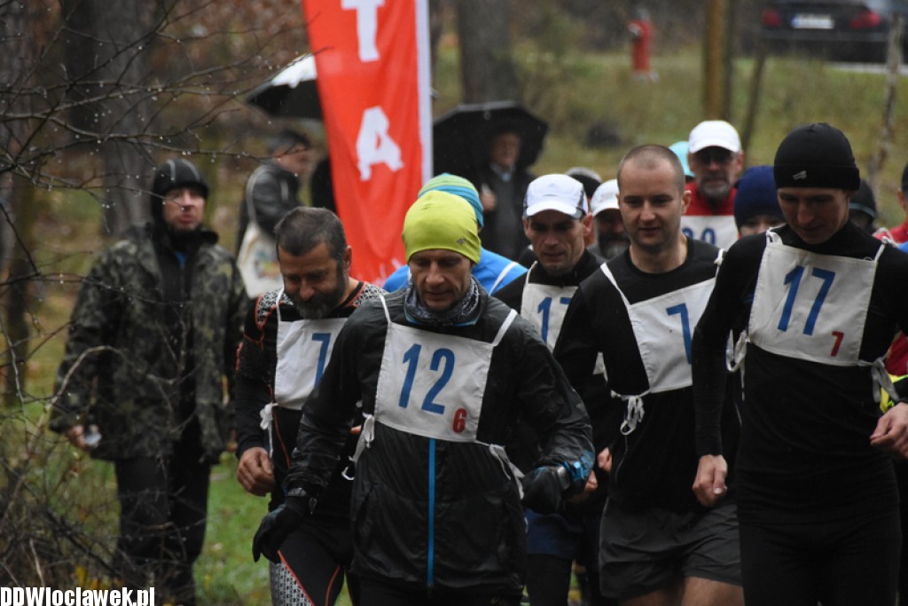 Vladislavia Cross na Zawiślu