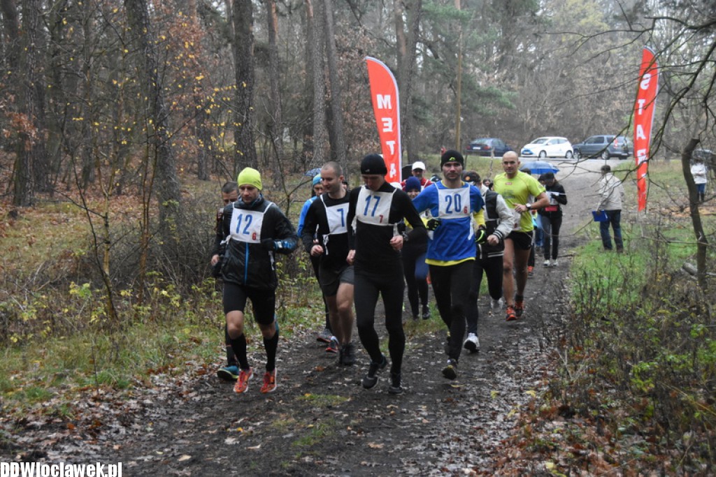 Vladislavia Cross na Zawiślu