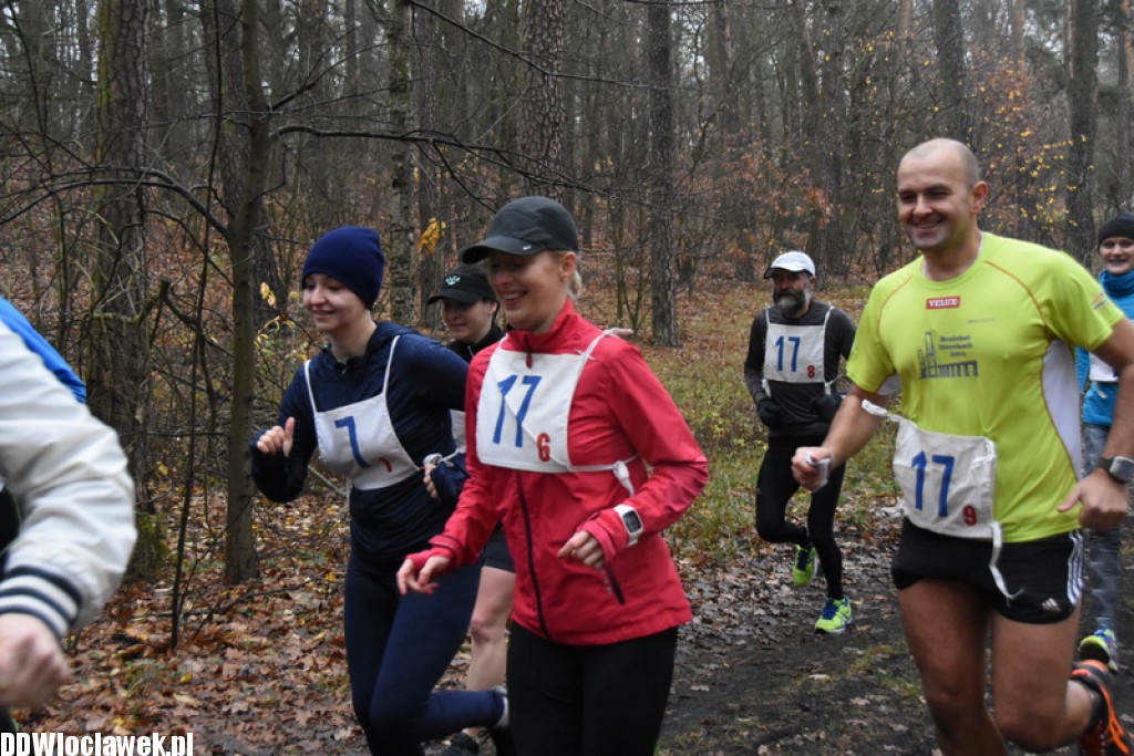 Vladislavia Cross na Zawiślu