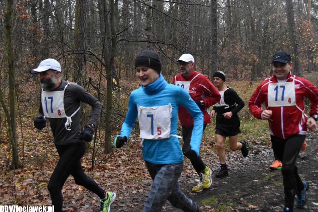 Vladislavia Cross na Zawiślu