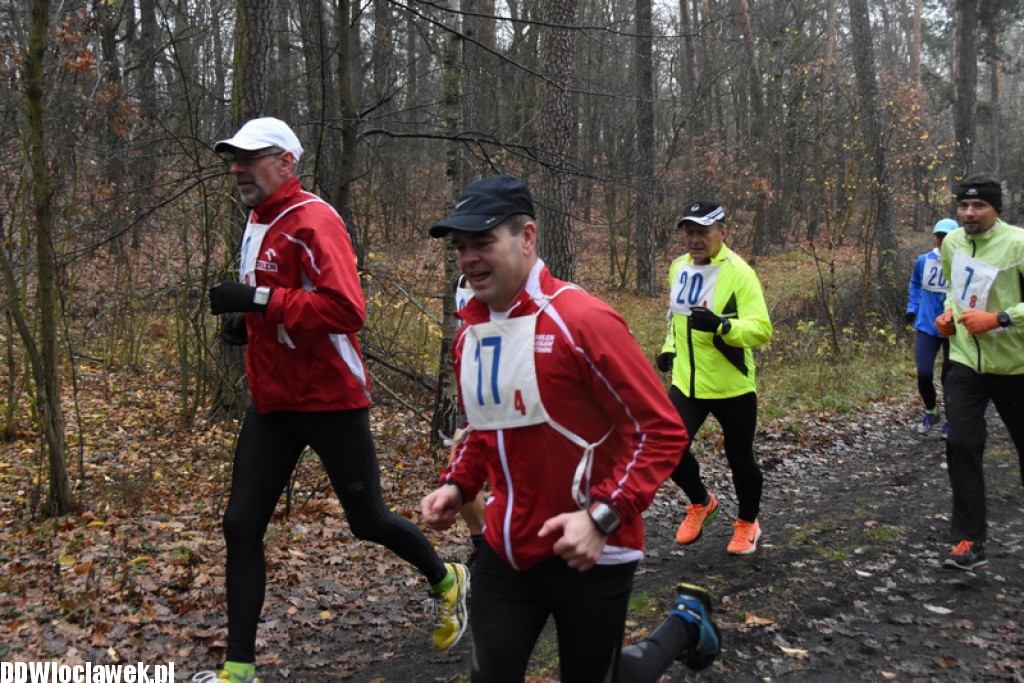 Vladislavia Cross na Zawiślu