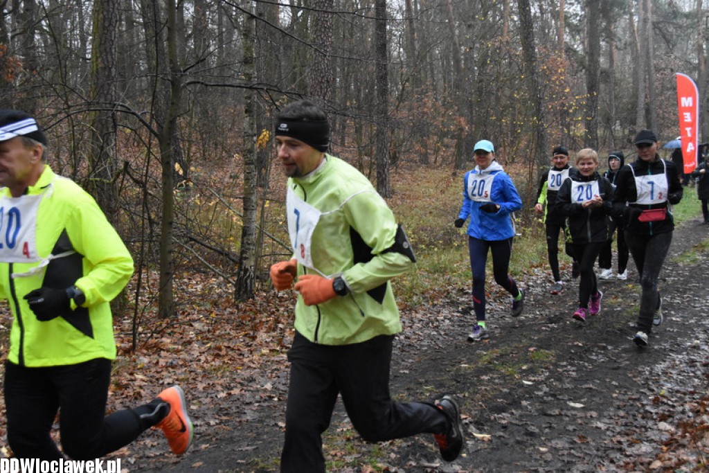 Vladislavia Cross na Zawiślu