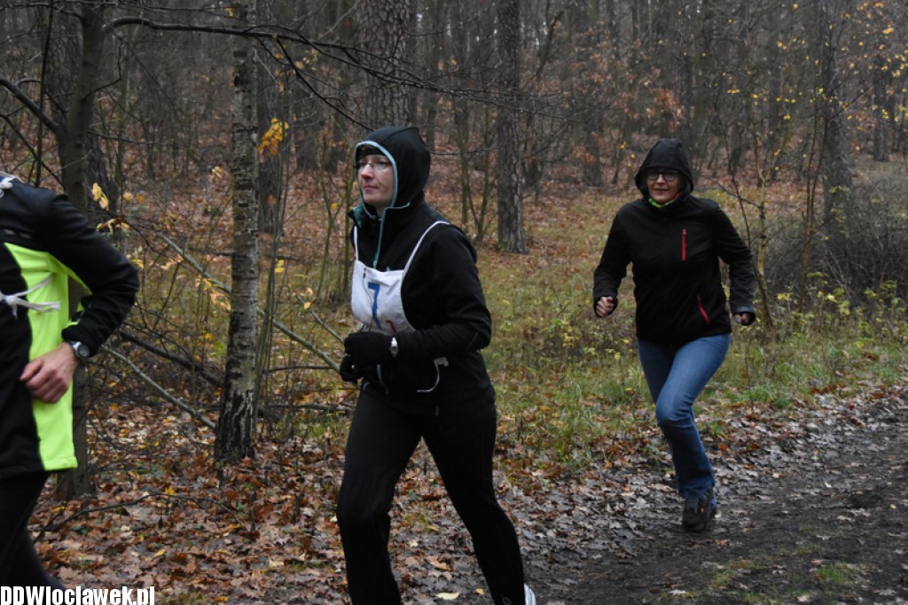 Vladislavia Cross na Zawiślu