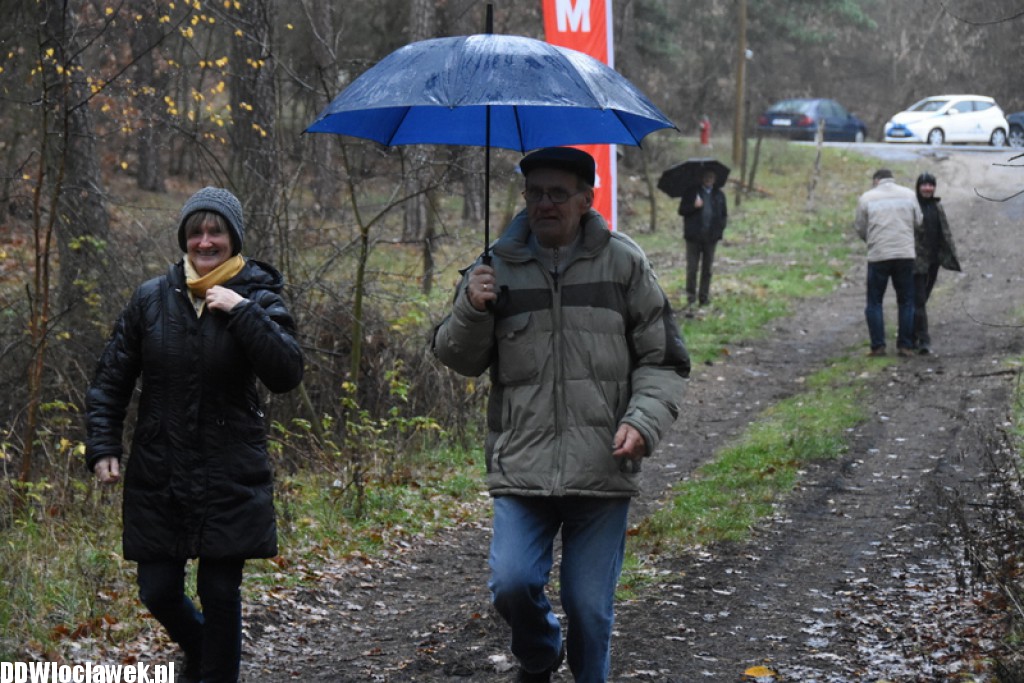 Vladislavia Cross na Zawiślu
