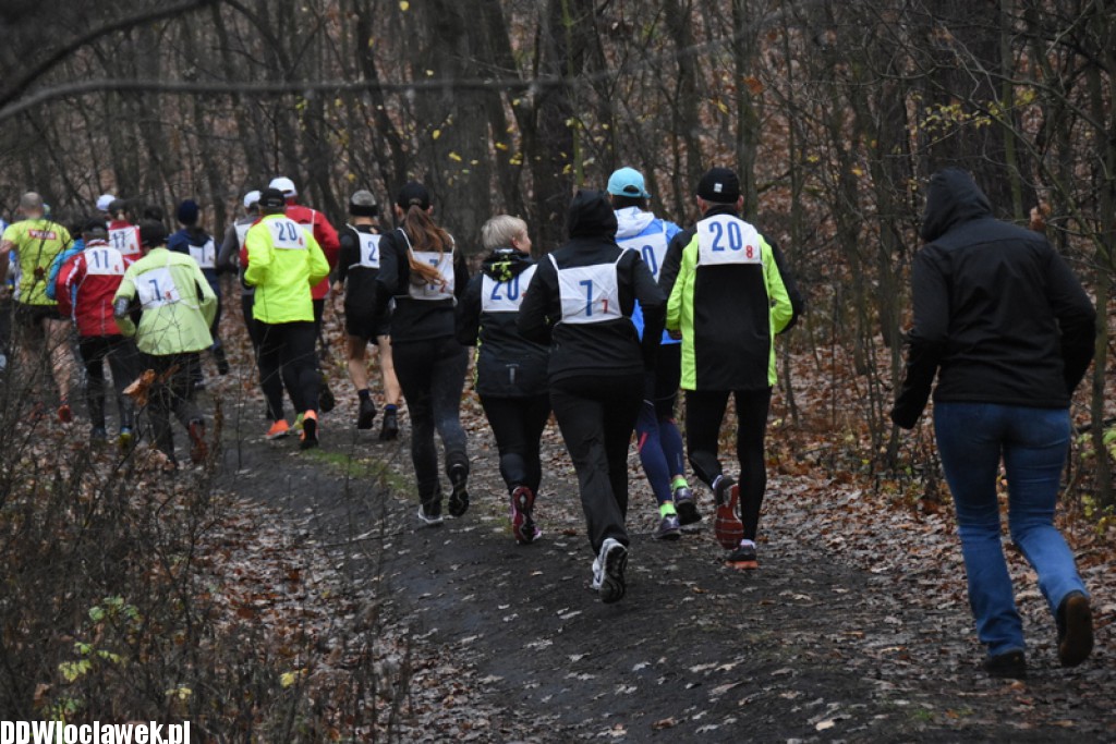Vladislavia Cross na Zawiślu