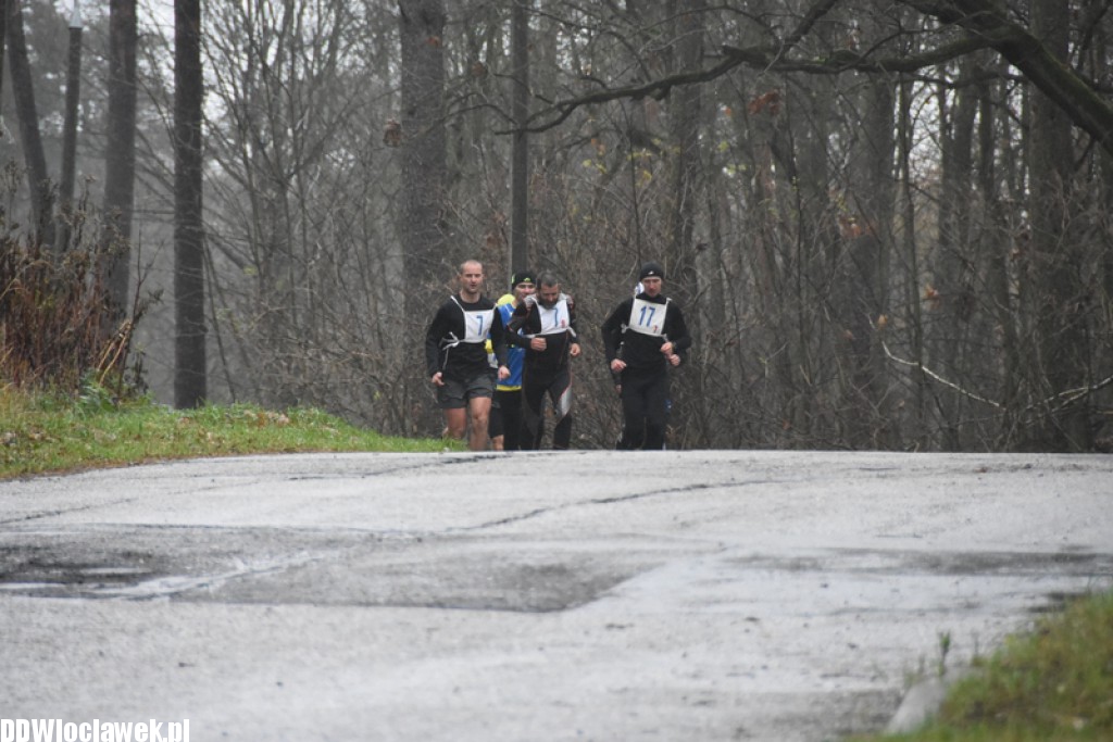Vladislavia Cross na Zawiślu