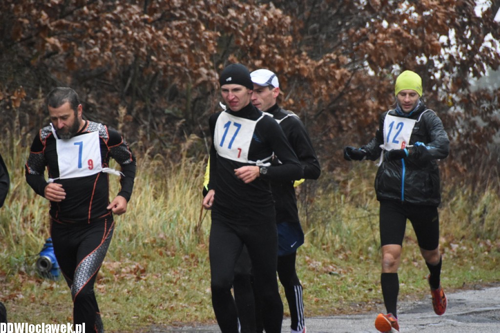 Vladislavia Cross na Zawiślu