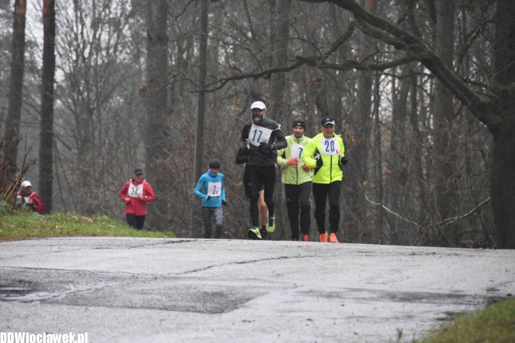 Vladislavia Cross na Zawiślu