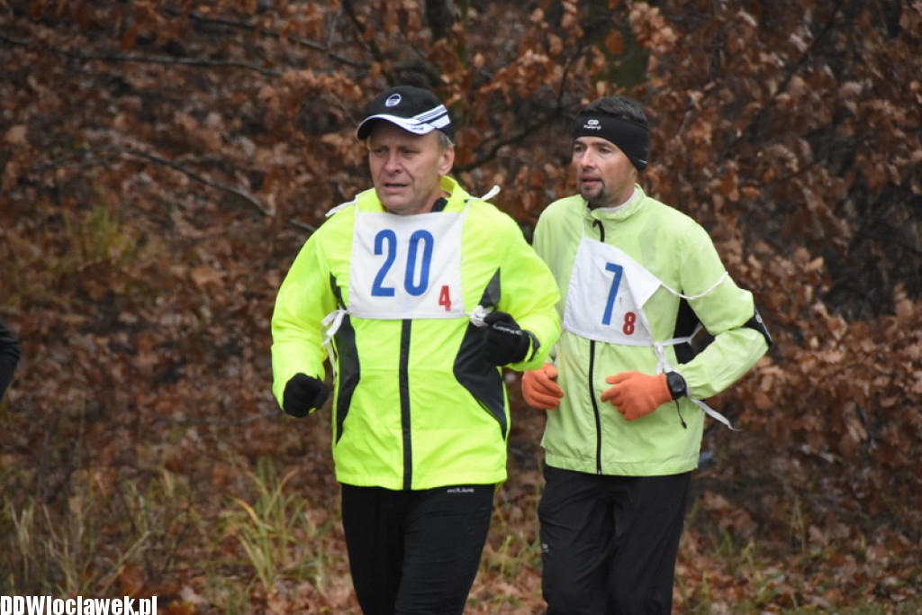 Vladislavia Cross na Zawiślu