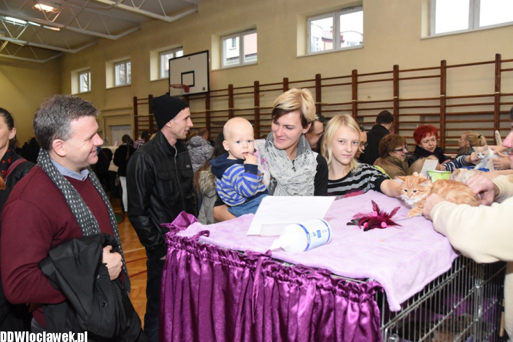 Wystawa kotów rasowych