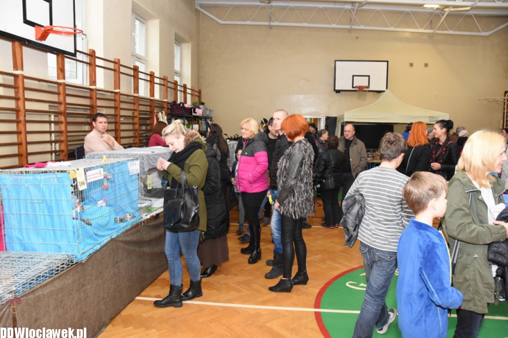 Wystawa kotów rasowych