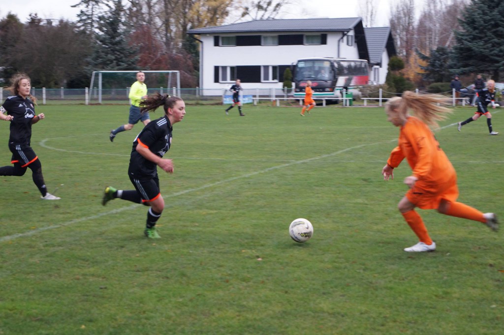 Unifereze II Górzno - WAP