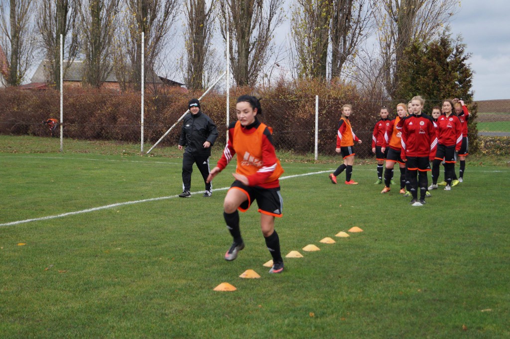 Unifereze II Górzno - WAP