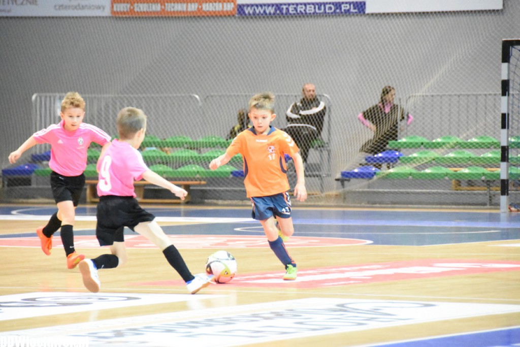 Dwunastka Cup w Hali Mistrzów