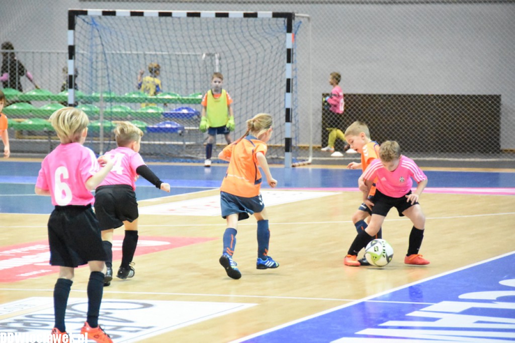 Dwunastka Cup w Hali Mistrzów