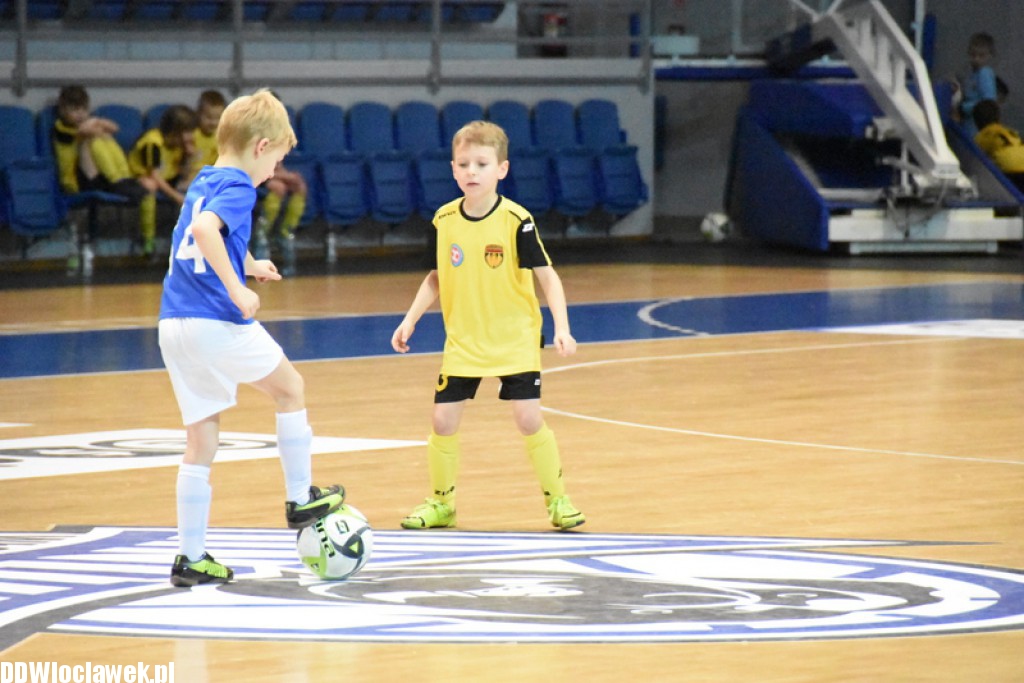 Dwunastka Cup w Hali Mistrzów