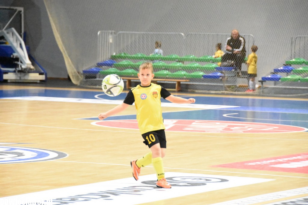 Dwunastka Cup w Hali Mistrzów