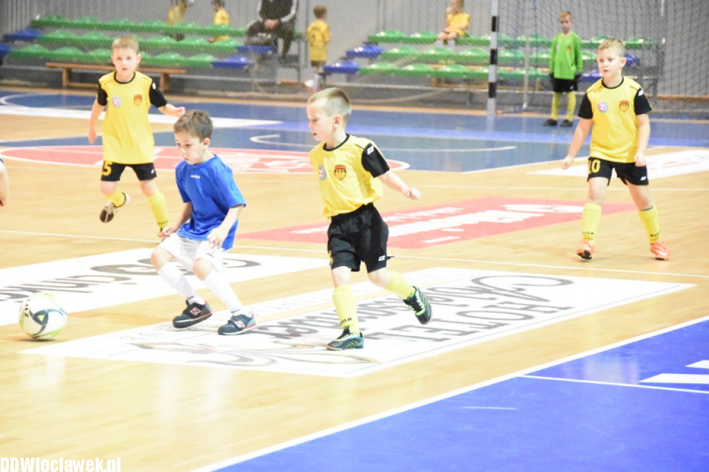 Dwunastka Cup w Hali Mistrzów