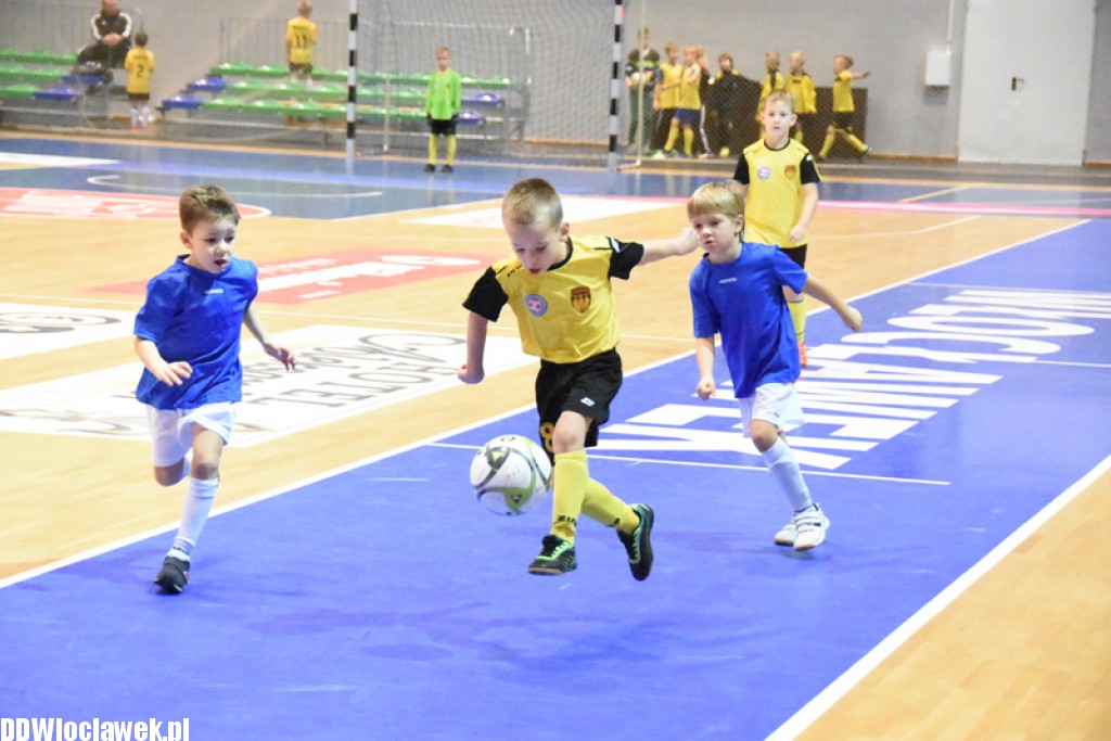 Dwunastka Cup w Hali Mistrzów