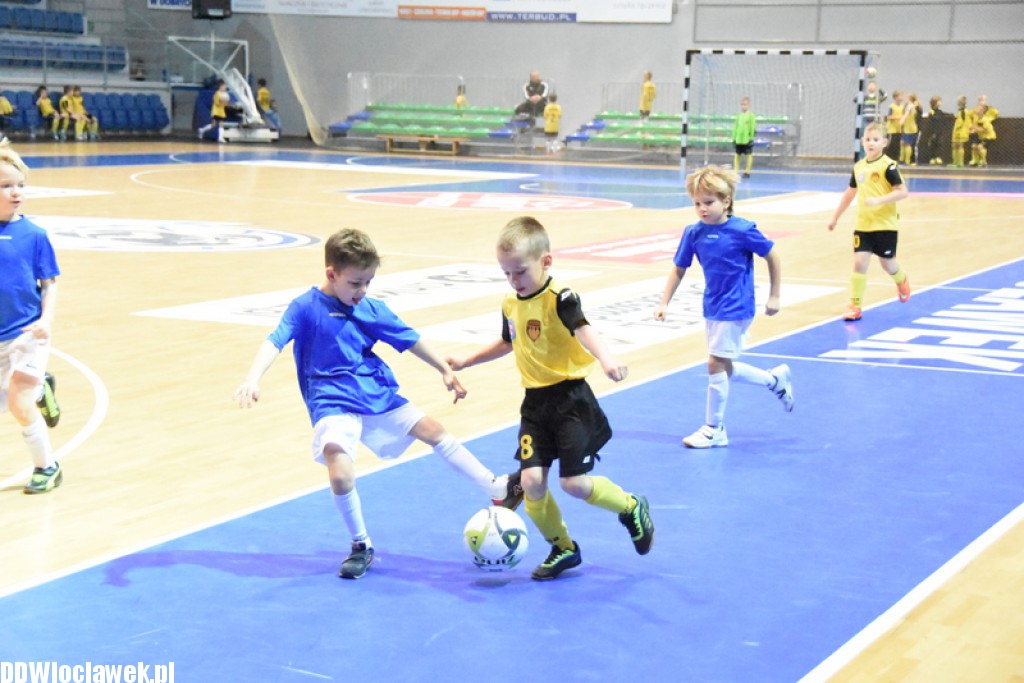 Dwunastka Cup w Hali Mistrzów