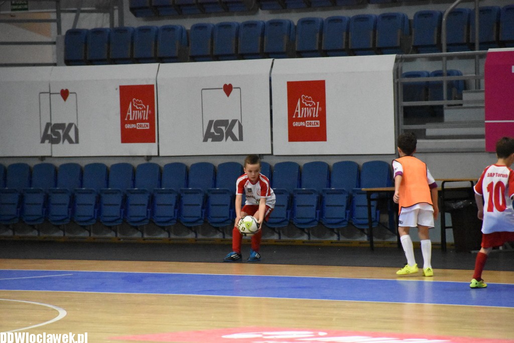 Dwunastka Cup w Hali Mistrzów