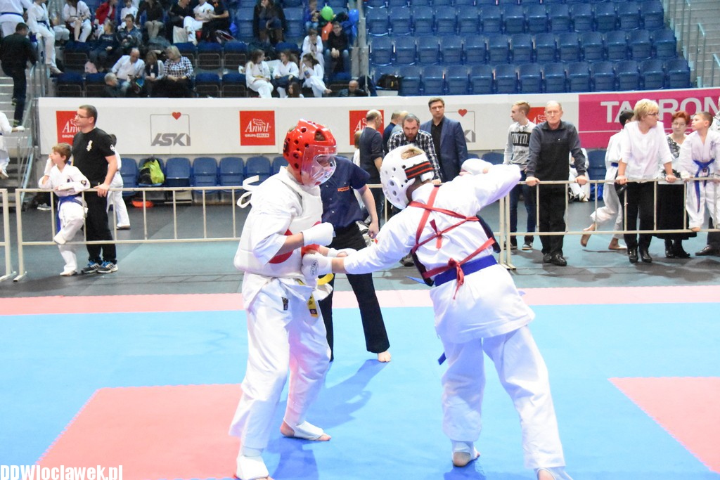 Turniej karate kyokushin w Hali Mistrzów