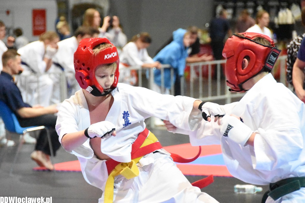 Turniej karate kyokushin w Hali Mistrzów