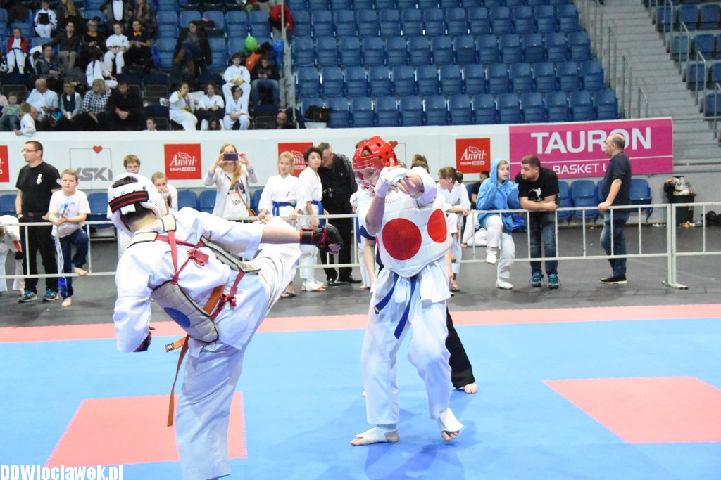 Turniej karate kyokushin w Hali Mistrzów