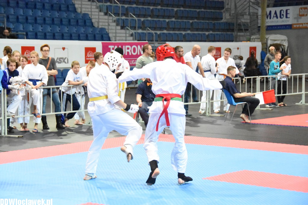 Turniej karate kyokushin w Hali Mistrzów