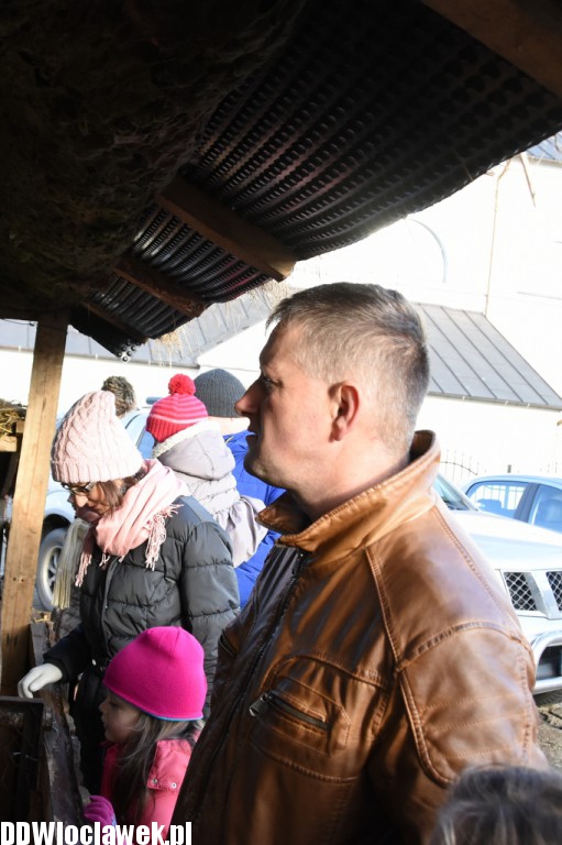 Żywa szopka w Szpetalu Górnym