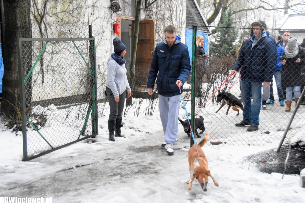 Koszykarze Anwilu w schronisku