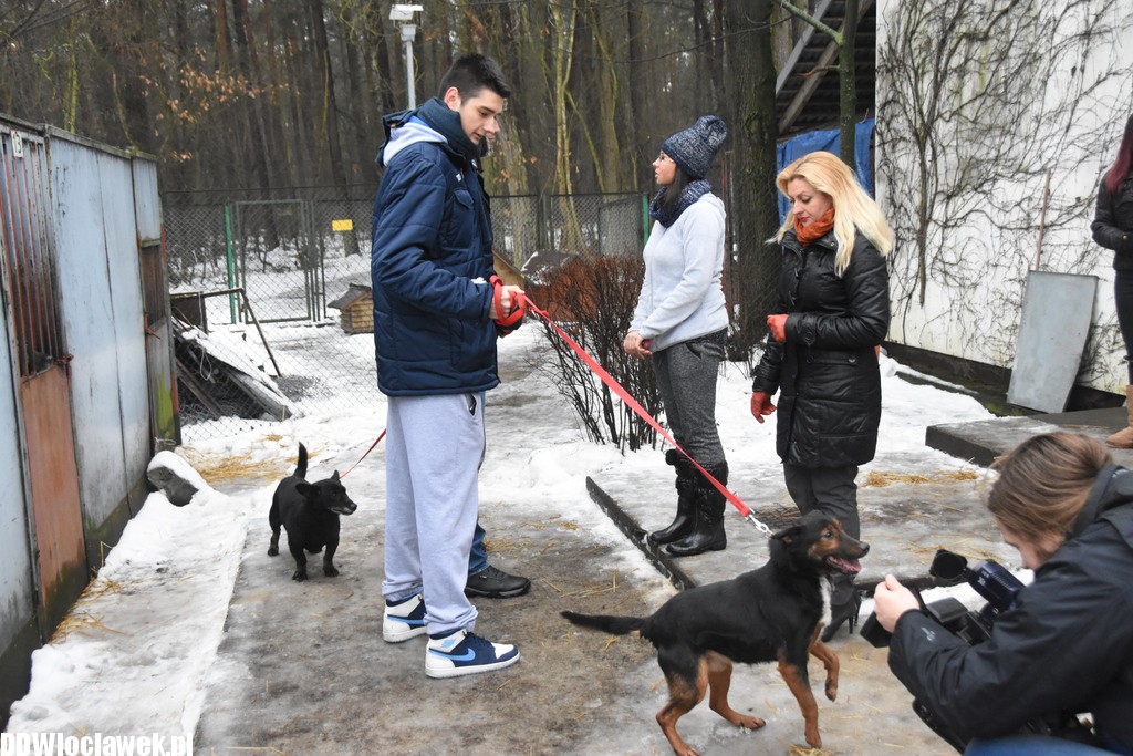 Koszykarze Anwilu w schronisku
